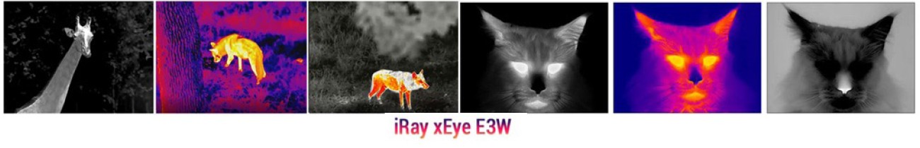 Тепловізор-монокуляр InfiRay (iRay) Eye E3W (до 1000 метрів) - 3