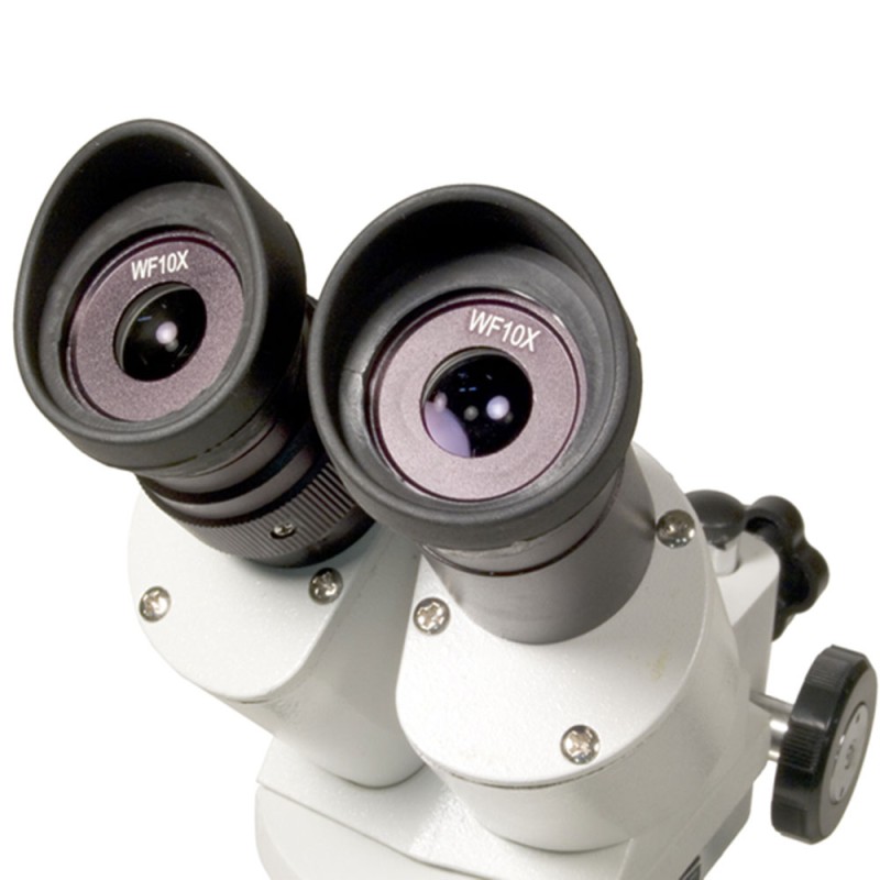 Мікроскоп бінокулярний Levenhuk 3ST - 1