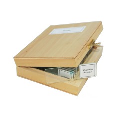 Набор микропрепаратов SIGETA Зоология (25 шт.)