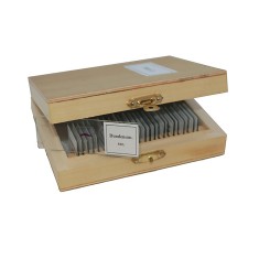 Набор микропрепаратов SIGETA Разное 2 (25 шт.)